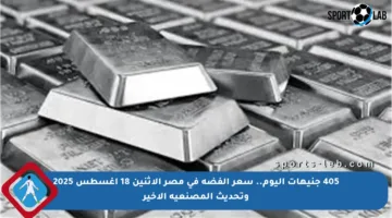 405 جنيهات اليوم.. سعر الفضة في مصر الاثنين 18 أغسطس 2025 وتحديث المصنعية الأخير
